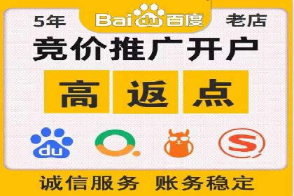 行业专家解析SEM代运营成功案例